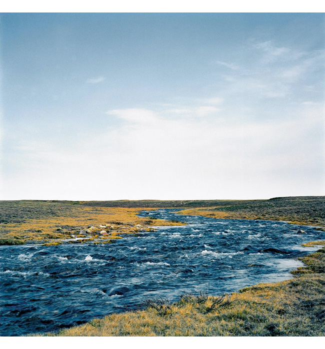 Finn O'Hara: Landscape 5