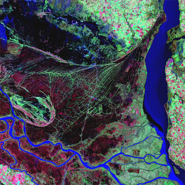 Earth as Art: Parana River Delta